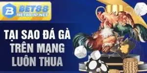 Tại Sao Đá Gà Trên Mạng Luôn Thua