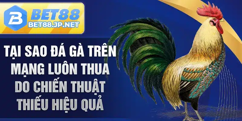 Tại sao đá gà trên mạng luôn thua do chiến thuật thiếu hiệu quả
