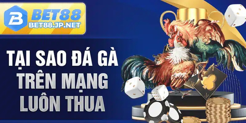 Tại Sao Đá Gà Trên Mạng Luôn Thua