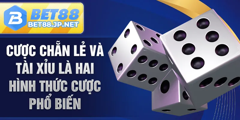 Cược chẵn lẻ và tài xỉu là hai hình thức cược phổ biến