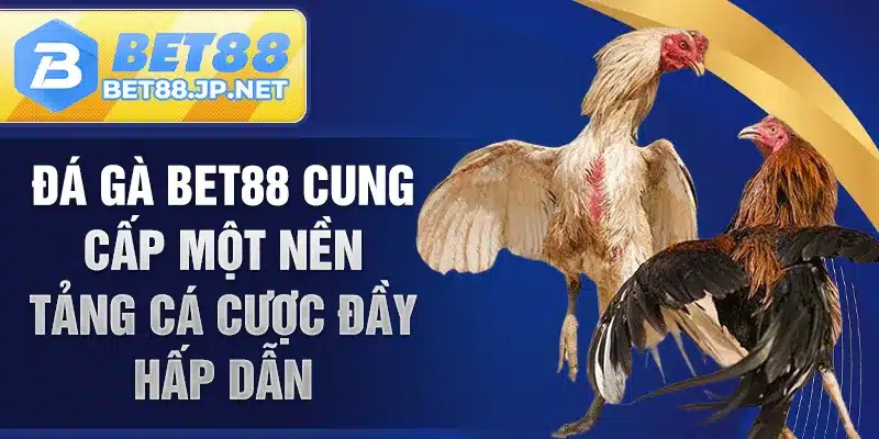 Đá gà BET88 cung cấp một nền tảng cá cược đầy hấp dẫn