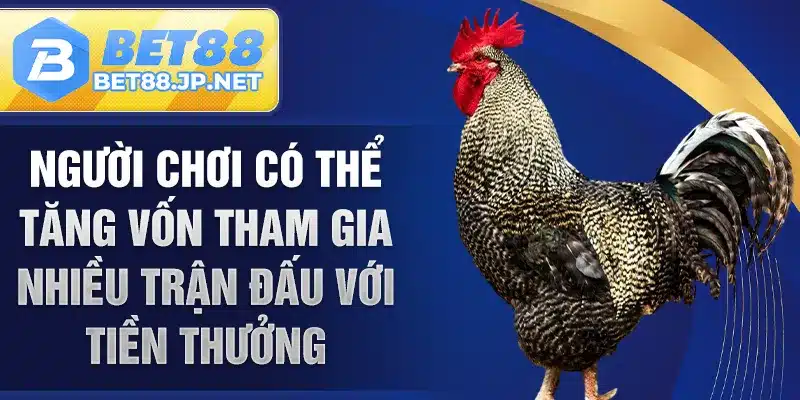 Người chơi có thể tăng vốn tham gia nhiều trận đấu với tiền thưởng