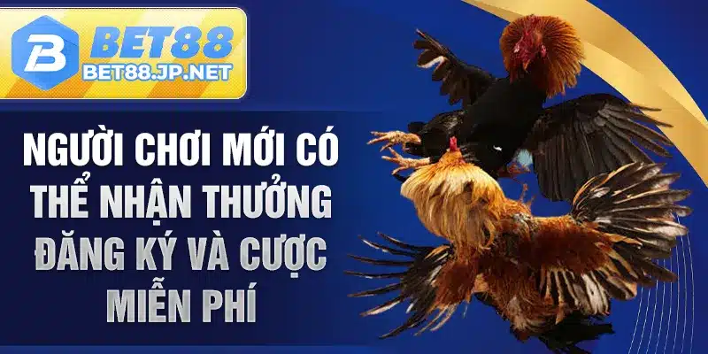 Người chơi mới có thể nhận thưởng đăng ký và cược miễn phí